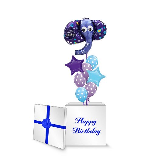 Picture of Elephant Surprise Box