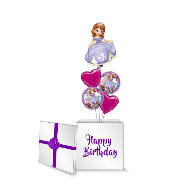 Picture of Sofia The First Surprise Box