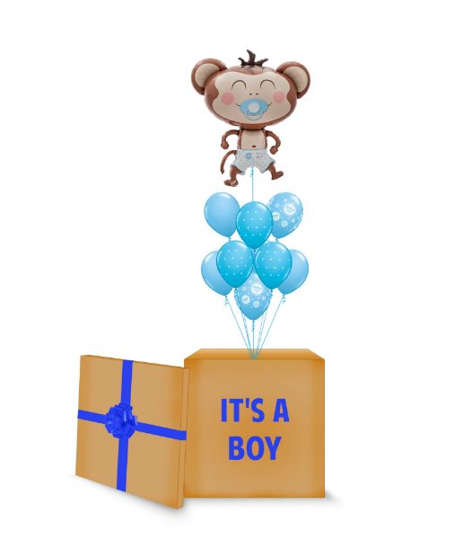 Picture of Blue Monkey Surprise Box