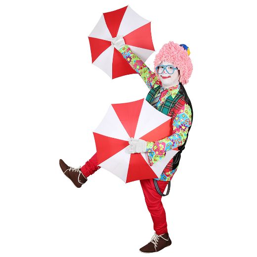 Picture of Clown Magician
