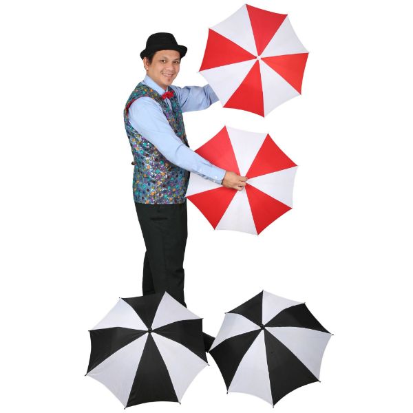 Picture of Flamingo Party 3