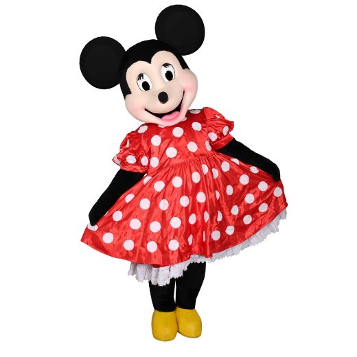 Picture of Minnie Mouse Party 2