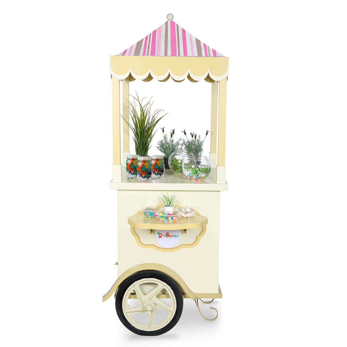 Picture of Aquarium Activity	