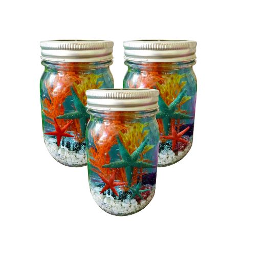 Picture of Aquarium Activity	