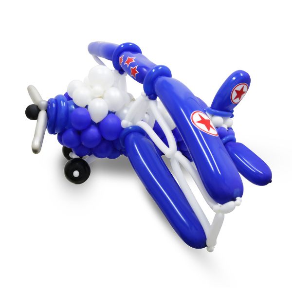 Picture of Toro Plane	