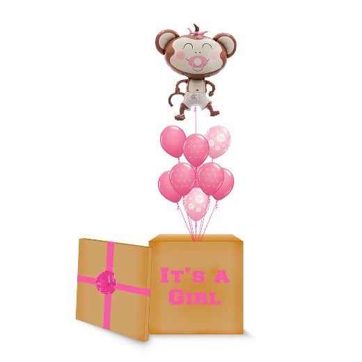 Picture of Pink Monkey Surprise Box