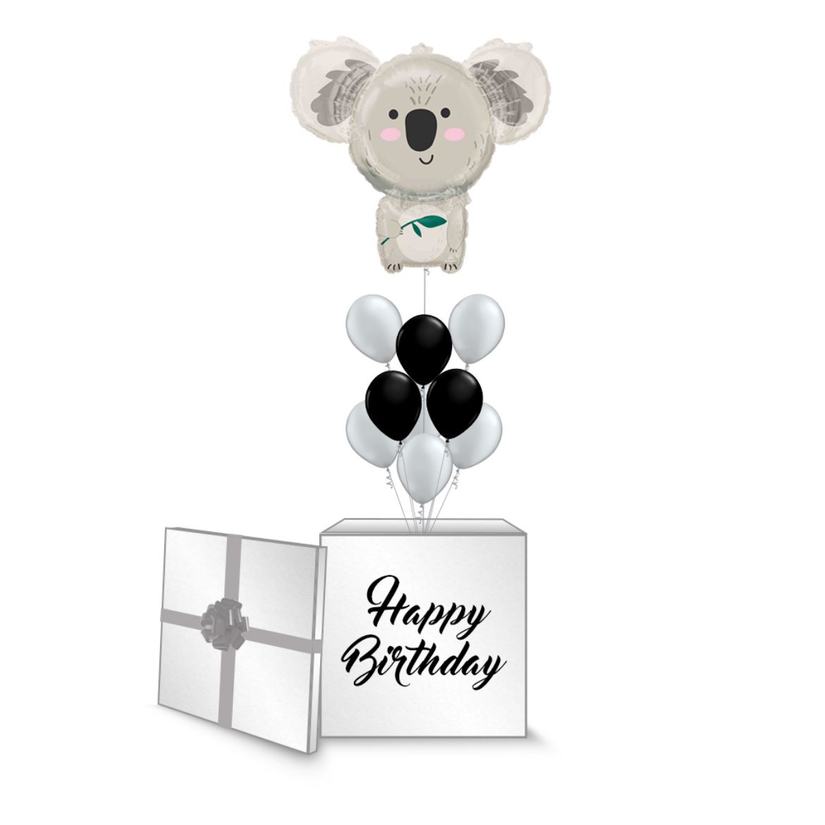 Picture of koala Kids Box